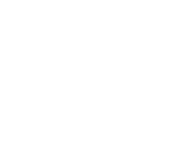 logo Demos Building Solutions